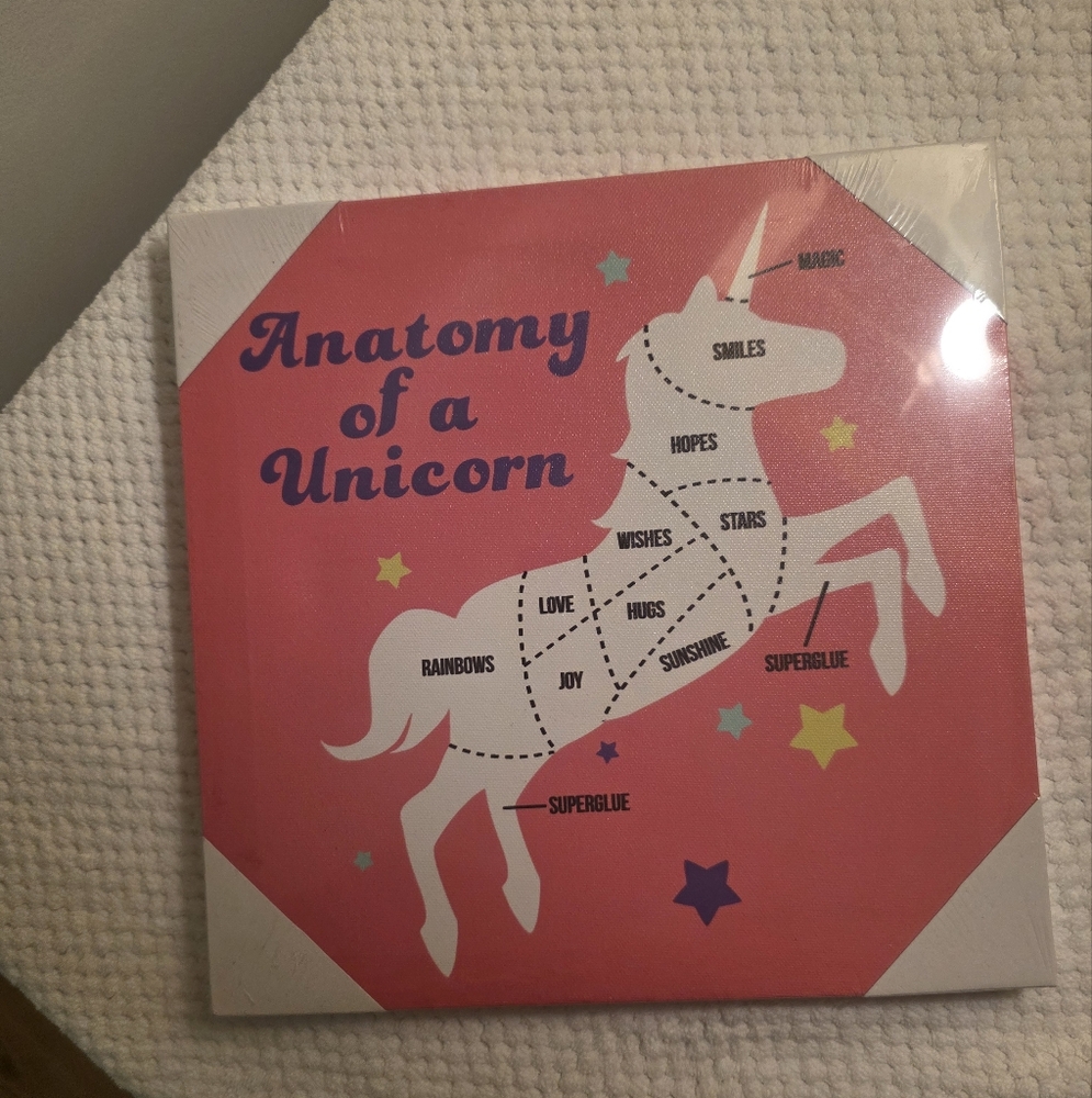 Forever 21 Whimsical Unicorn Canvas Art